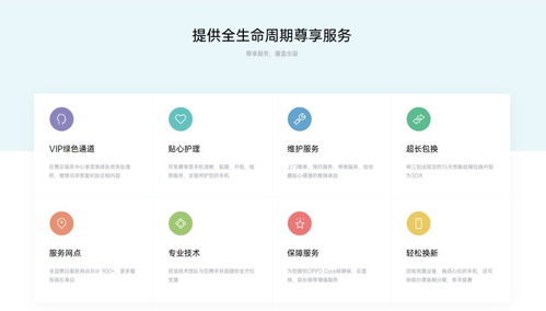 定制可选项超过60个,oppo企业业务商城重磅上线