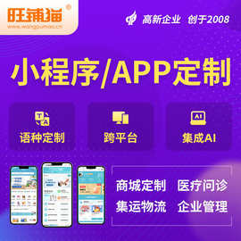 手机软件定制开发