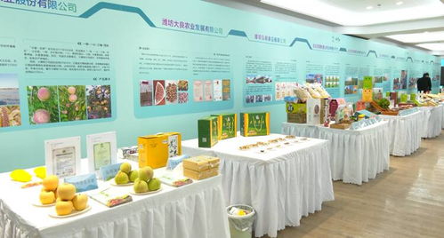 “2024齐鲁农超共融发展推介暨安丘农耕走进北京新发地生态农产品展销会” 购物商城定制开发助力农业数字化转型